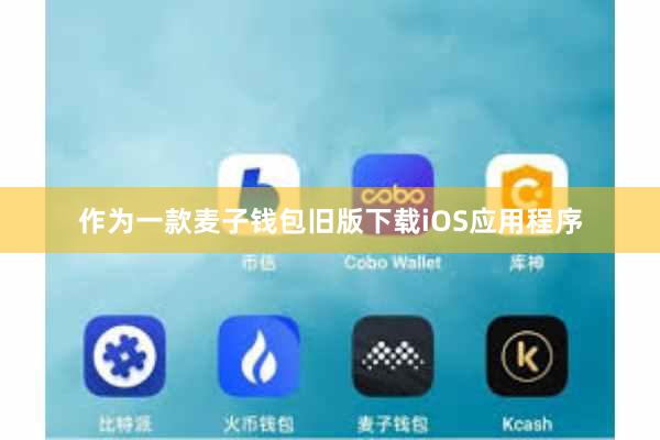 作为一款麦子钱包旧版下载iOS应用程序