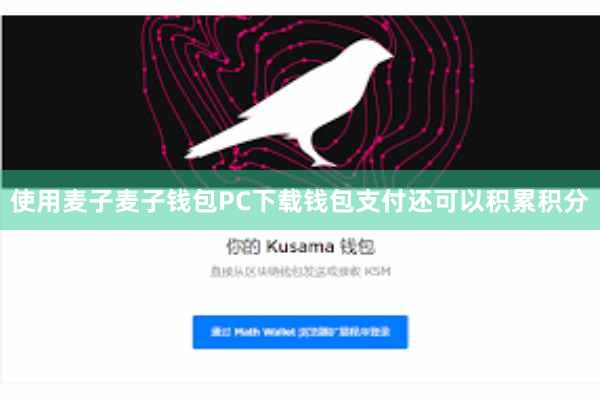 使用麦子麦子钱包PC下载钱包支付还可以积累积分