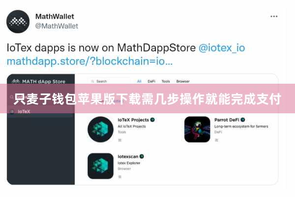 只麦子钱包苹果版下载需几步操作就能完成支付