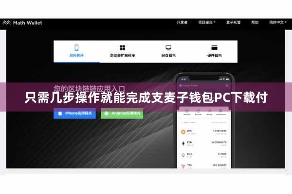 只需几步操作就能完成支麦子钱包PC下载付