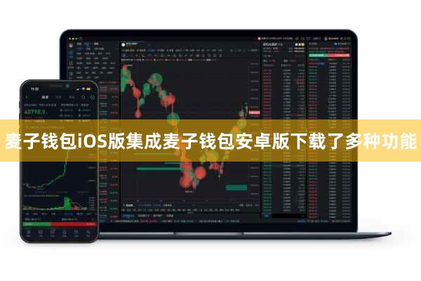 麦子钱包iOS版集成麦子钱包安卓版下载了多种功能