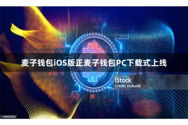 麦子钱包iOS版正麦子钱包PC下载式上线